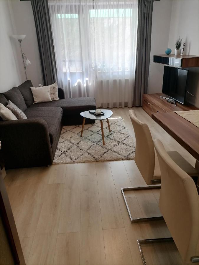 Joy Apartman Apartment Sovata Exterior photo
